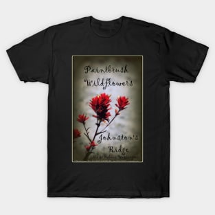 paintbrush wildflowers, Johnston's Ridge 2 T-Shirt